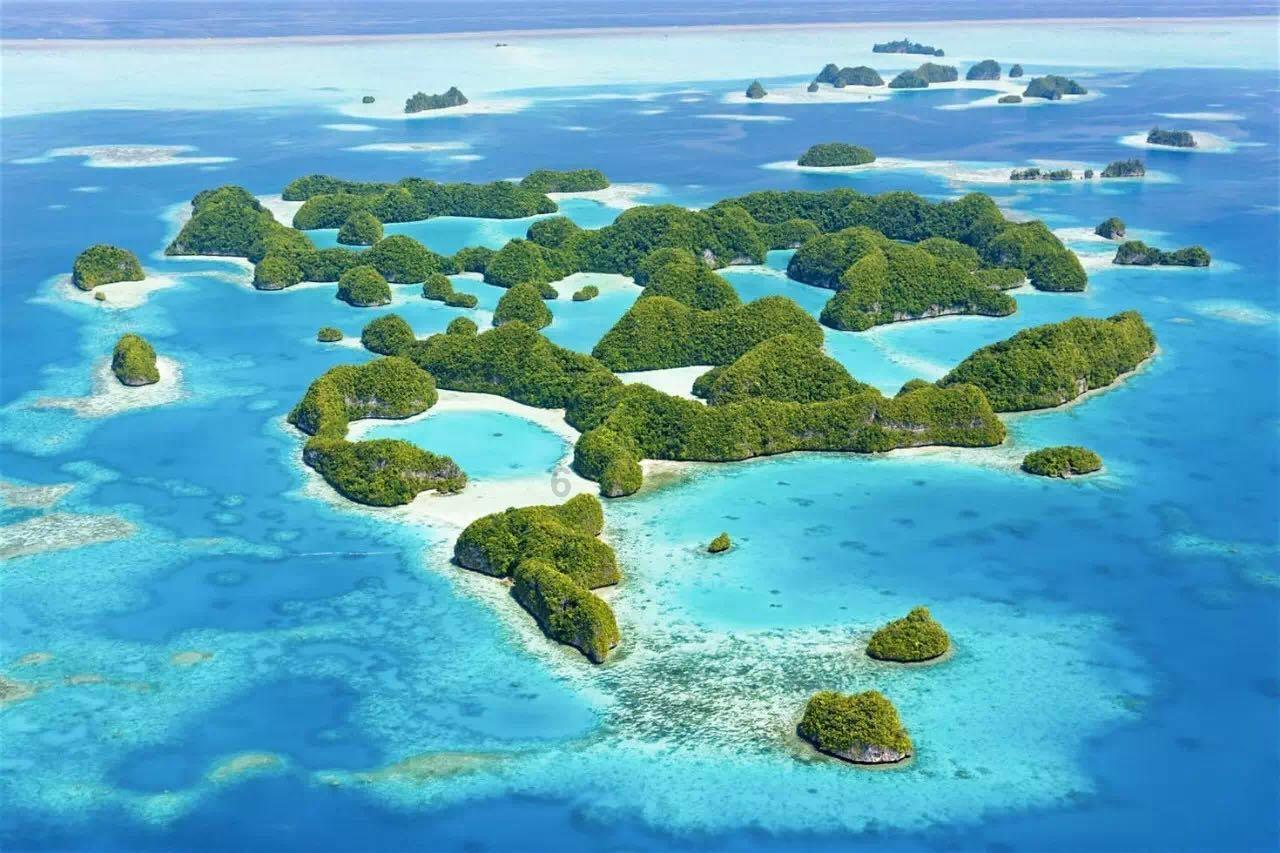 原始丛林找星星